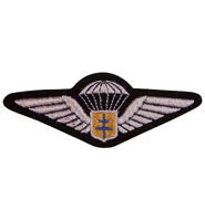 French SAS Regiments