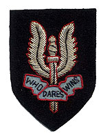 Officers cap badge