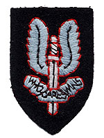 Other ranks cap badge