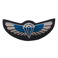 SAS Wings